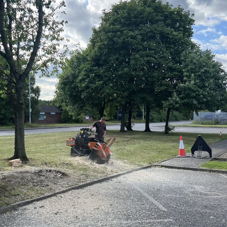 Bennison Groundworks Stump Grinding