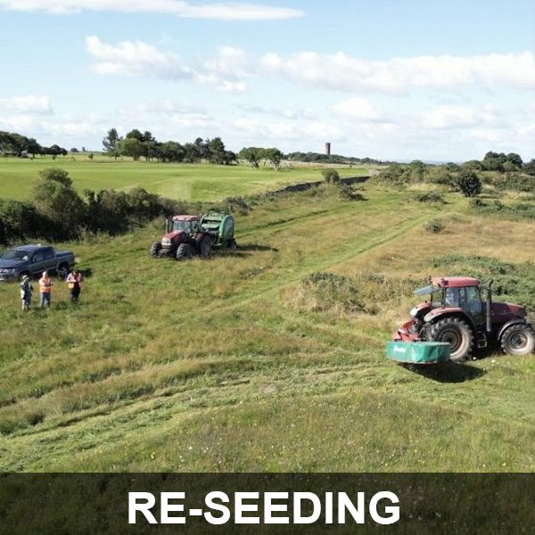 Re-seeding