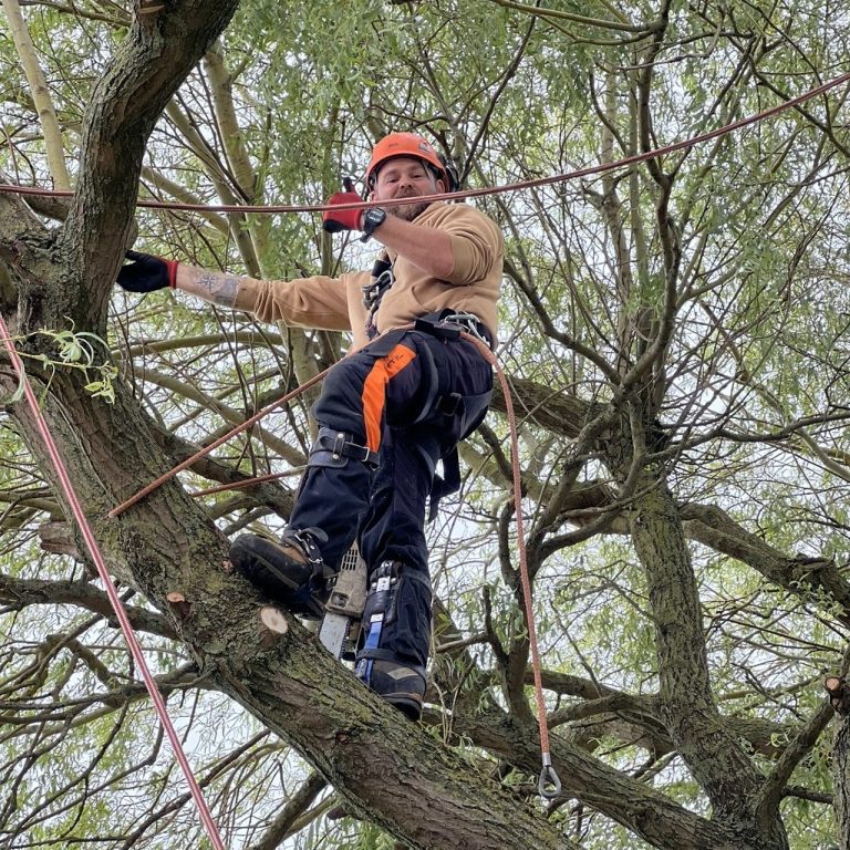 Bennison Groundworks Tree Services